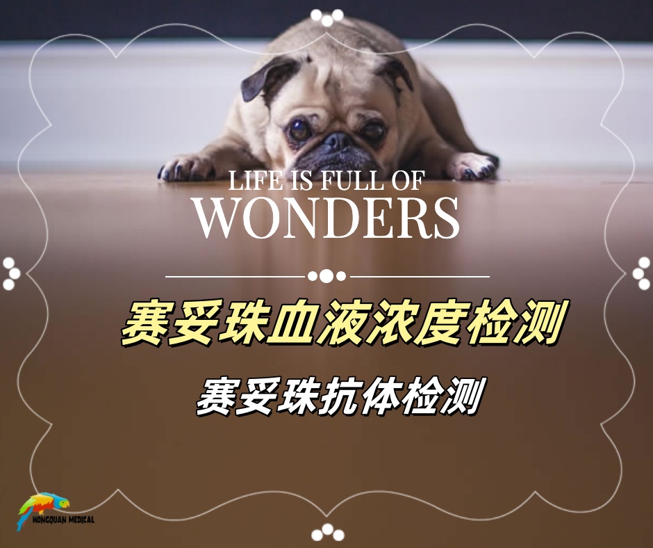 南京虹泉供應(yīng)賽妥珠單抗血藥濃度檢測試劑盒（優(yōu)時化） 試劑
