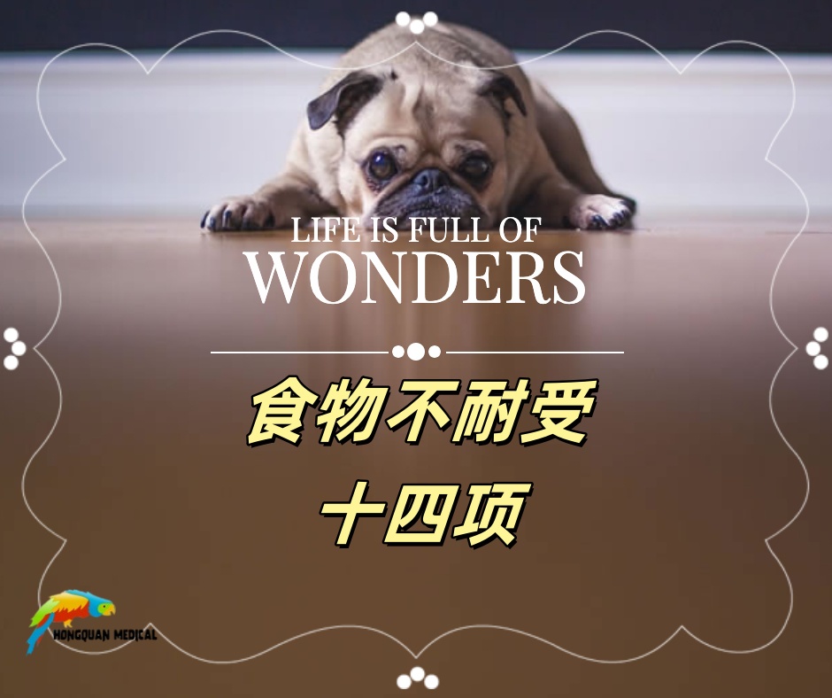 食物不耐受14項檢測