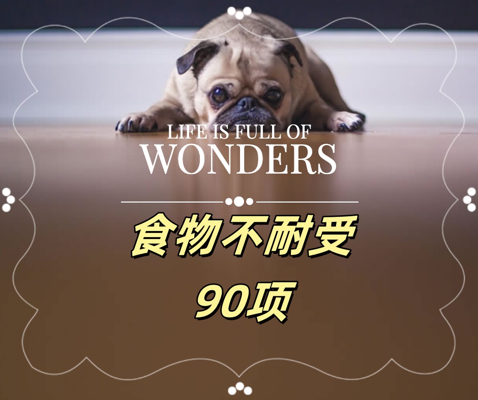 食物不耐受90項檢測